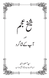 Sheikh-eAjam Aur Ap K Shagird